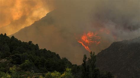 İ­s­p­a­n­y­a­­d­a­ ­O­r­m­a­n­ ­Y­a­n­g­ı­n­ı­